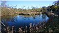 Pond at Perryfoot