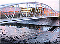 J3675 : The Sam Thompson Bridge, Victoria Park, Belfast - November 2014(1) by Albert Bridge