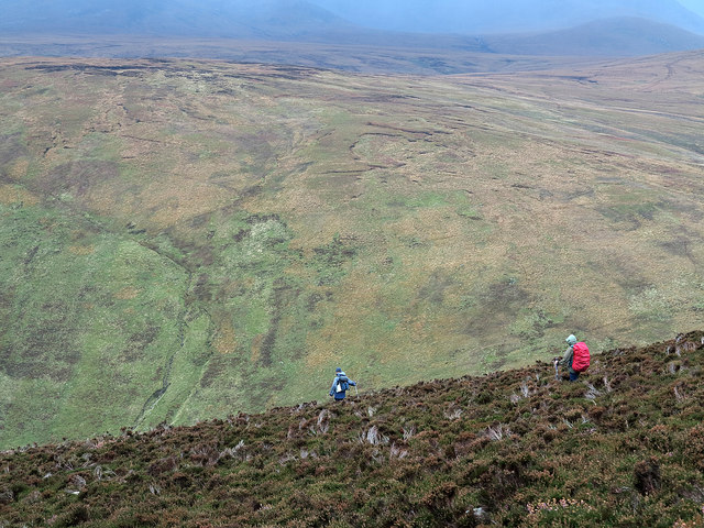 Mountain walkers descending heather slope