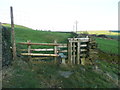 Stile and dog hatch on Sowerby Bridge FP10