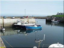 NU2232 : Seahouses Harbour scene by David Chatterton