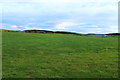 NX1756 : Farmland near Whitecrook by Billy McCrorie