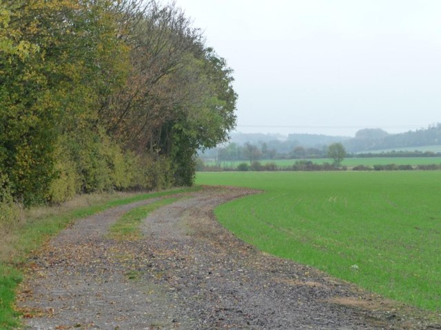 Track along field edge, Manor Farm