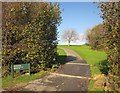 Path to driving range, St Mellion