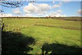 Pasture near Dunstan House