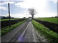 Lane to Grange of Cree