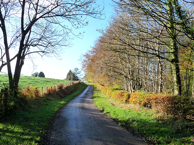 Country lane near the Flatt Farm