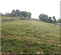 Hillside near Quickwood