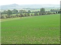 Hillside north of Ravendale Farm