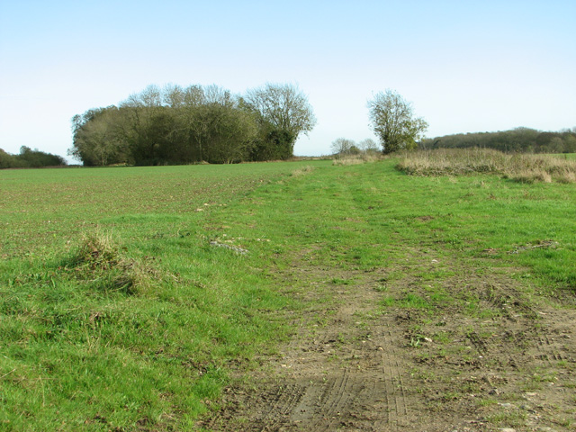 Farm track into fields east of Low Street
