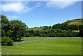 Pasture in Cwm Brefi, Ceredigion