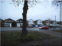 TQ2792 : Houses on Friern Barnet Lane by David Howard