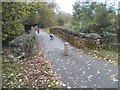 Bridge in Priory Park