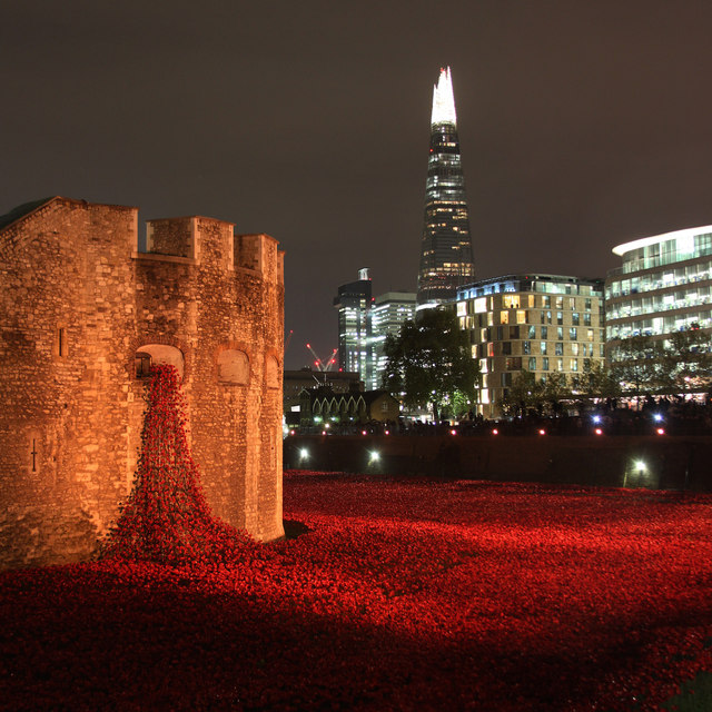 Blood Swept Lands and Seas of Red, Tower Poppies