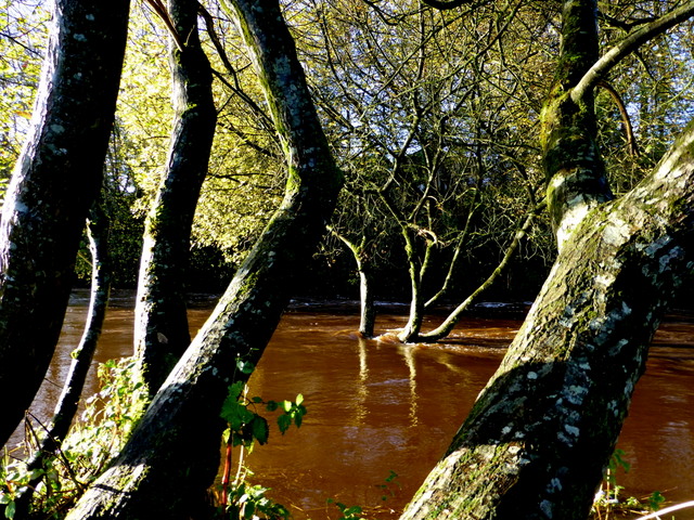 The brown water of the Camowen