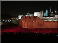 Sea of ceramic red poppies, Tower of London at night (2)