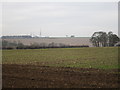 View towards Weedley radio station