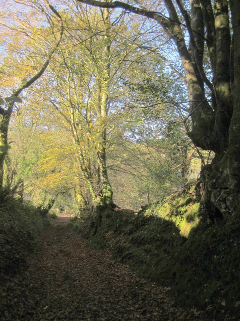 Harrowbarrow, Cornwall - area information, map, walks and more