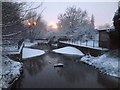 Cobbins Brook Weir (Sewardstone Road FGS)