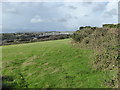 Field above Appletree Point