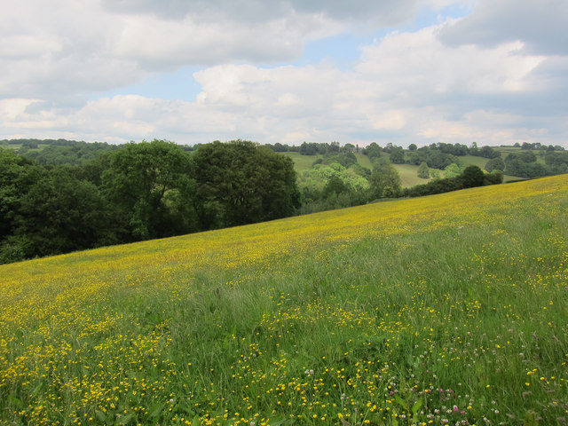 Field near Cwmdulas Farm