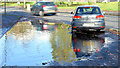 Puddle, Annadale Embankment, Belfast - November 2014(1)