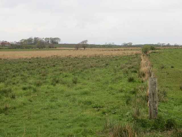 Sidehead Moss © Richard Webb :: Geograph Britain and Ireland