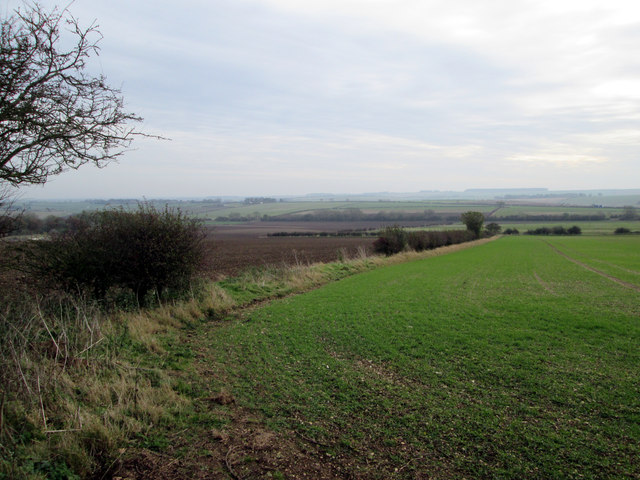 Fields  from  the  end  of  Gameslack  Plantation