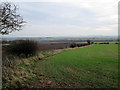 Fields  from  the  end  of  Gameslack  Plantation