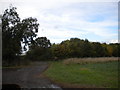 Bridleway to Epperstone east of Eastwood Farm