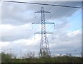 Pylon by the ECML