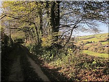 SX3869 : Lane to Dupath by Derek Harper