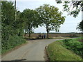 Entrance To Wood Farm