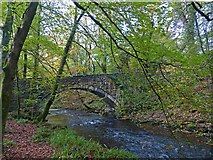 SH4638 : Bridge over Afon Dwyfach by Robin Drayton
