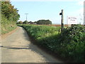 Footpath And Road