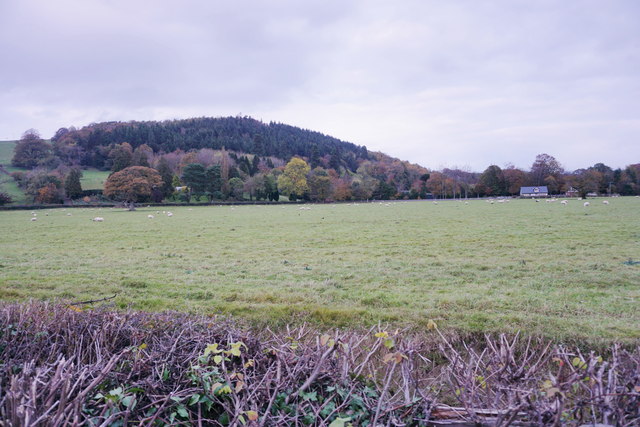 Flat grazing land near Kerry