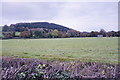 Flat grazing land near Kerry