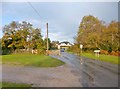 Nomansland, cattle grid