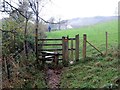 Llwybr Cheriton / Cheriton path