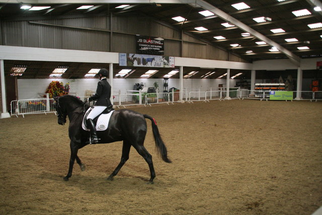 Riding in before the test at Dressage Area Festival, Arena UK, Allington
