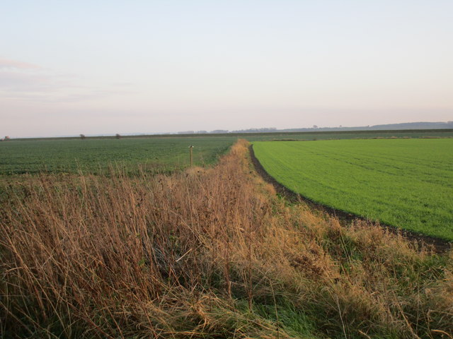 View towards the Humber Bank