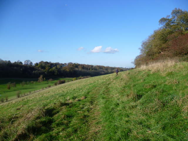Footpath near Downe