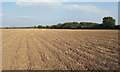 SP2079 : Large field, newly ploughed and harrowed near Northfield Farm, Walsal End by Robin Stott