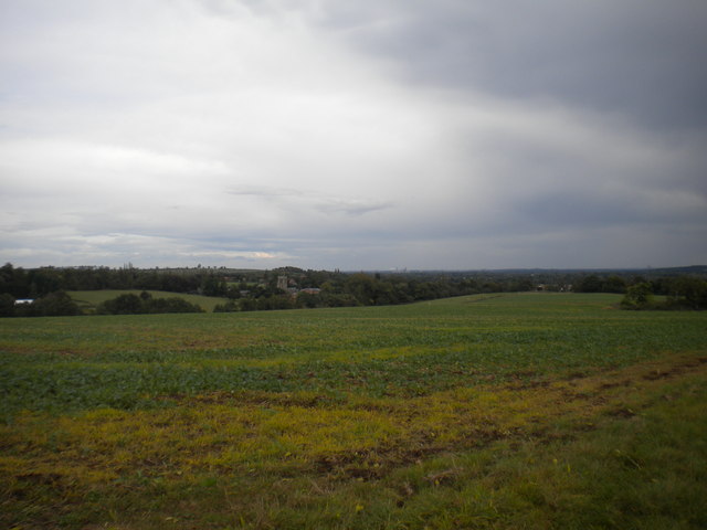 Field west of Thurgarton (2)