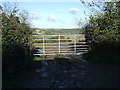 Field entrance off National Cycle Route 3