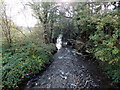 Ewenny River south of Felindre Road, Pencoed