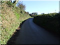 Country lane towards Ruan High Lanes