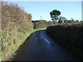 Country lane into Ruan High Lanes