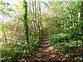 Footpath near Green Hill