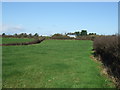 Grazing towards Tregongon